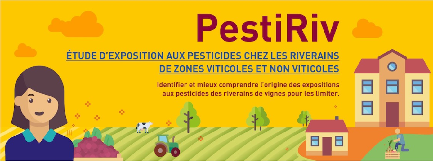 Bandeau de l'enquête pestiriv, représentant en dessin naïf, un village, des champs de vigne et une personne féminine en premier plan.