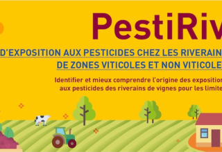 Bandeau de l'enquête pestiriv, représentant en dessin naïf, un village, des champs de vigne et une personne féminine en premier plan.